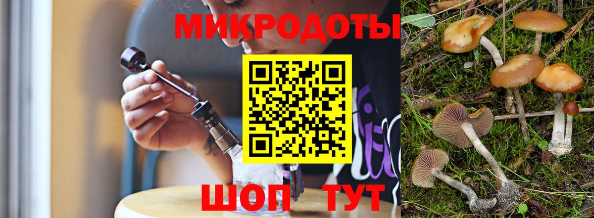 Галлюциногенные грибы Psilocybe Хасавюрт