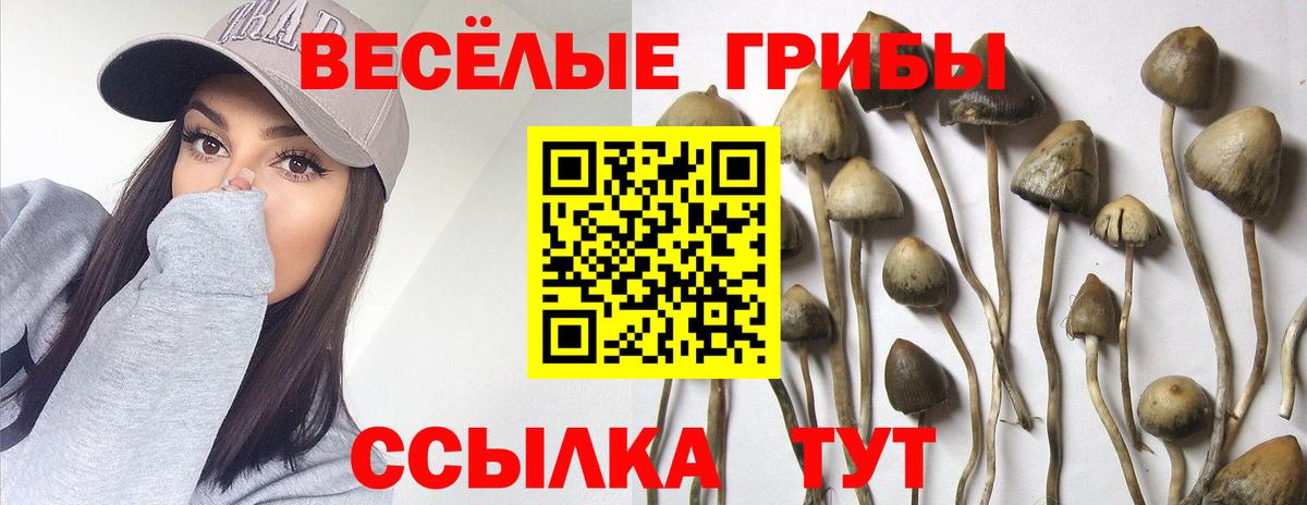 Хасавюрт  Псилоцибиновые грибы Magic Shrooms  Вход с VPN  Галлюциногенные грибы мухоморы 